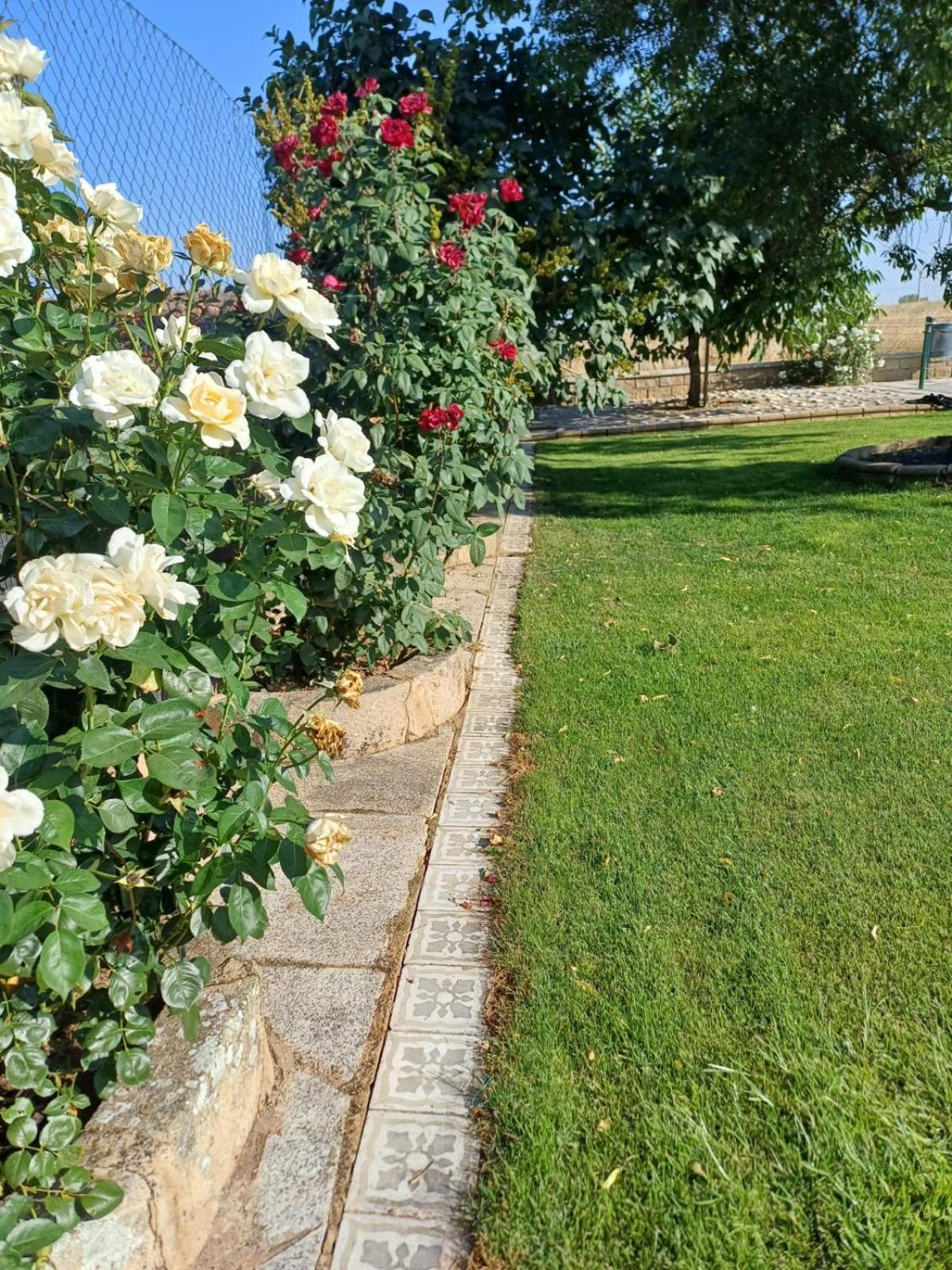 El Almendro Del Cura Villa Villarmayor  Eksteriør bilde