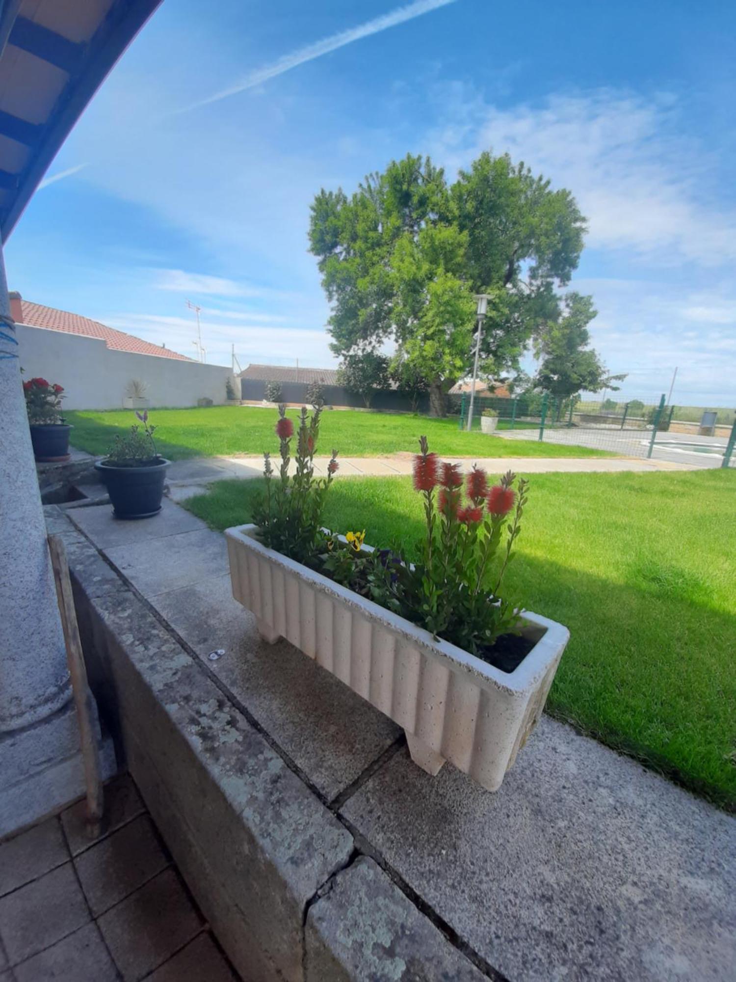 El Almendro Del Cura Villa Villarmayor  Eksteriør bilde